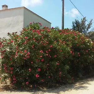  Сasa de vacaciones Pequena En El Centro Del Delta Del Ebro